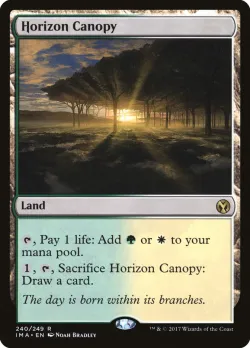 Horizon Canopy 「IMA/240」「EN」