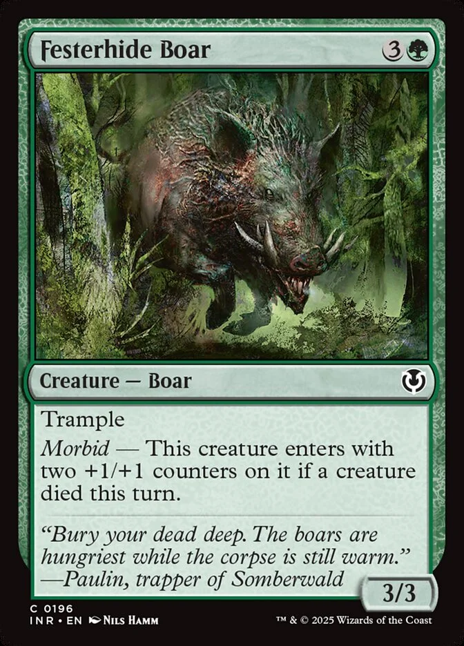 Festerhide Boar 「INR/196」「EN」