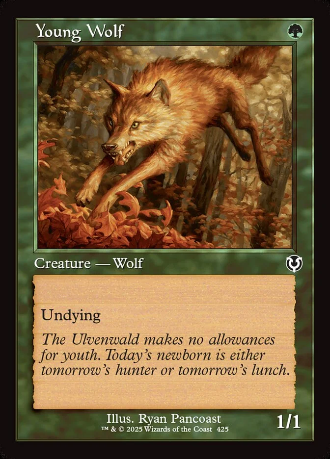 Young Wolf 「INR/425」「EN」