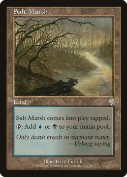 Salt Marsh 「INV/326」「EN」
