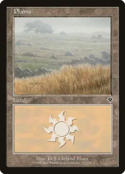 Plains 「INV/333」「EN」