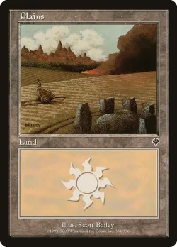 Plains 「INV/334」「EN」
