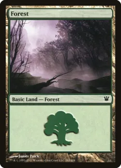 Forest 「ISD/262」「EN」