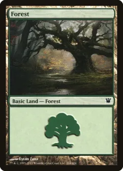 Forest 「ISD/264」「EN」