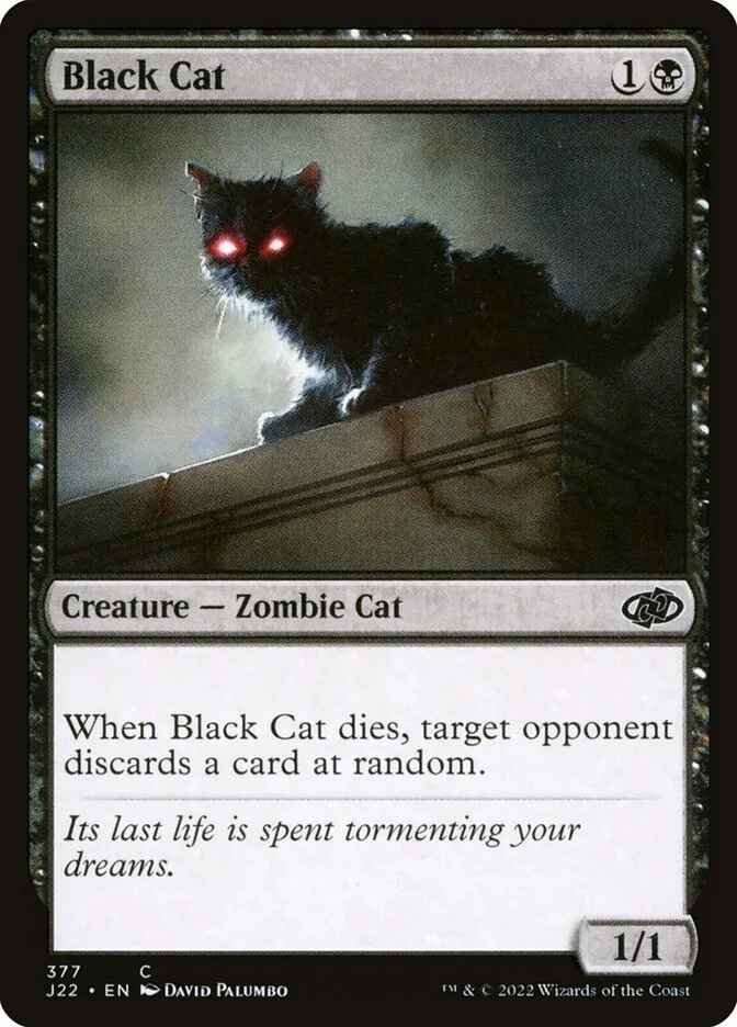 Black Cat 「J22/377」「EN」