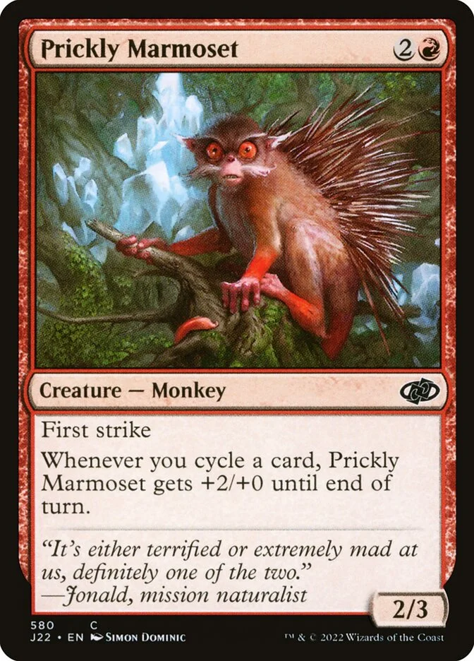 Prickly Marmoset 「J22/580」「EN」