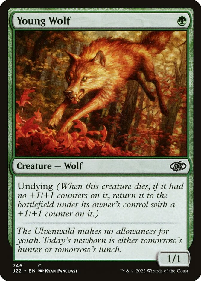Young Wolf 「J22/746」「EN」
