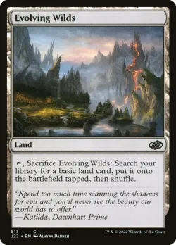 Evolving Wilds 「J22/813」「EN」