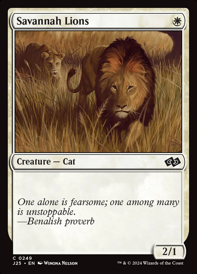 Savannah Lions 「J25/249」「EN」
