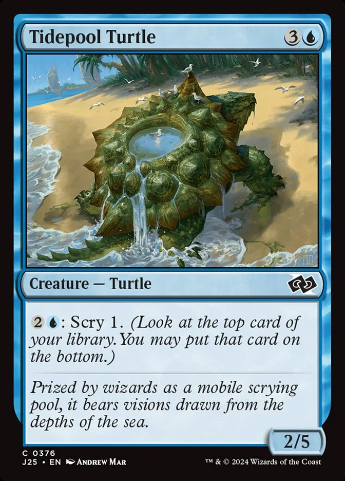 Tidepool Turtle 「J25/376」「EN」