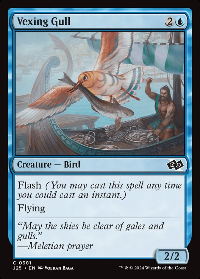 Vexing Gull 「J25/381」「EN」