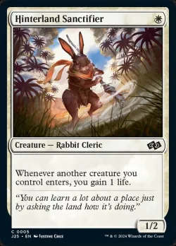 Hinterland Sanctifier #5 · Magic: The Gathering