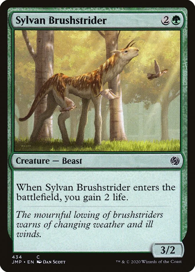 Sylvan Brushstrider 「JMP/434」「EN」