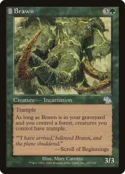Brawn 「JUD/107」「EN」