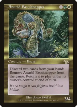 Anurid Brushhopper 「JUD/137」「EN」