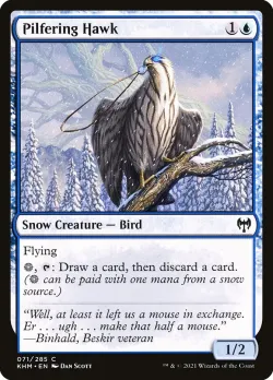 Pilfering Hawk #71 · Magic: The Gathering