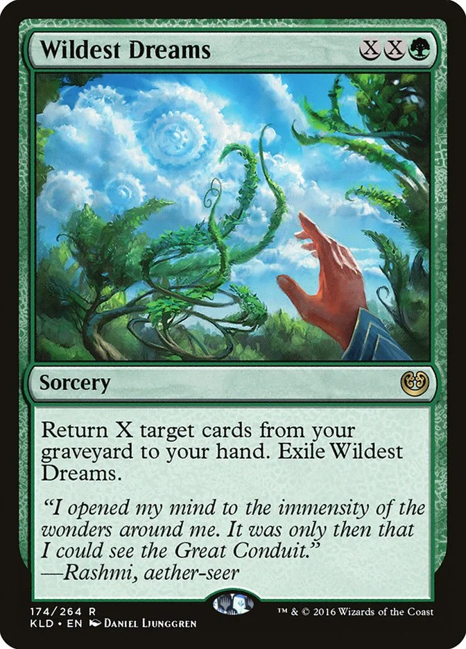 Wildest Dreams 「KLD/174」「EN」