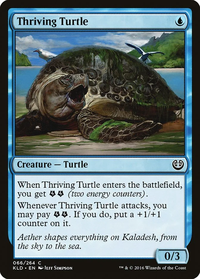 Thriving Turtle 「KLD/66」「EN」