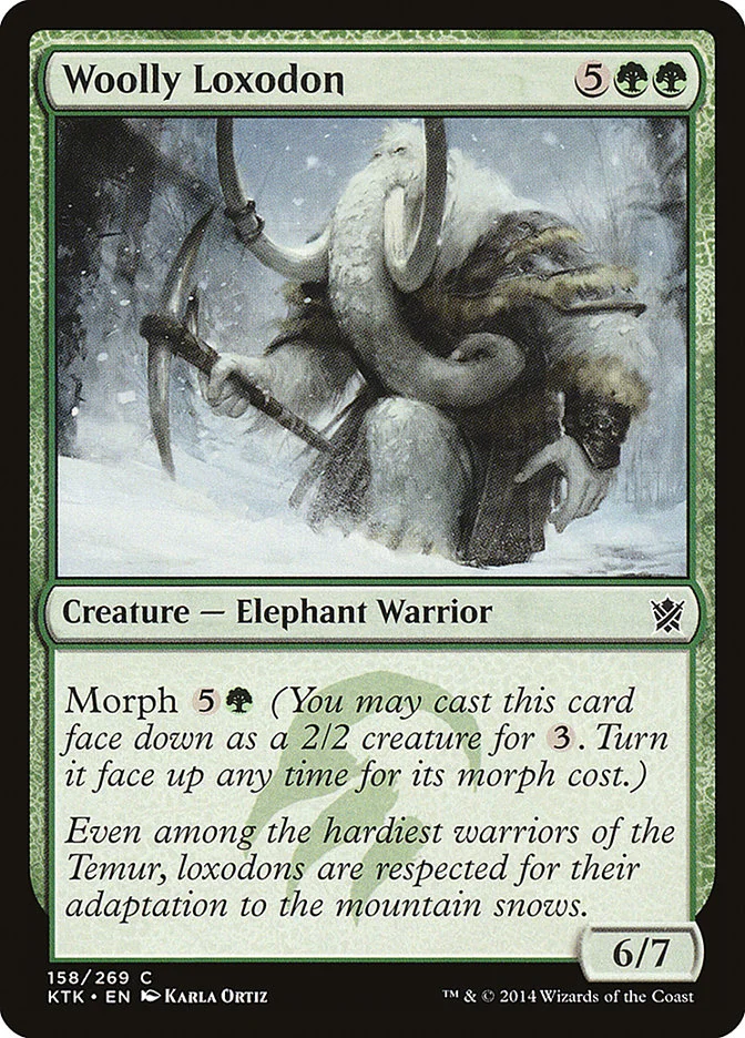 Woolly Loxodon 「KTK/158」「EN」