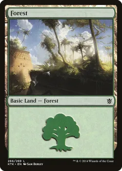 Forest 「KTK/266」「EN」