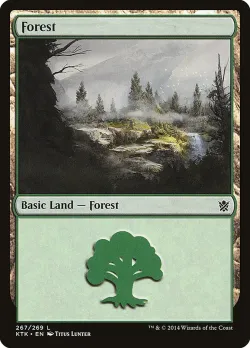 Forest 「KTK/267」「EN」