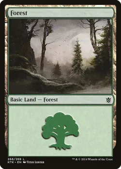 Forest 「KTK/268」「EN」