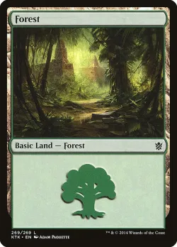 Forest 「KTK/269」「EN」