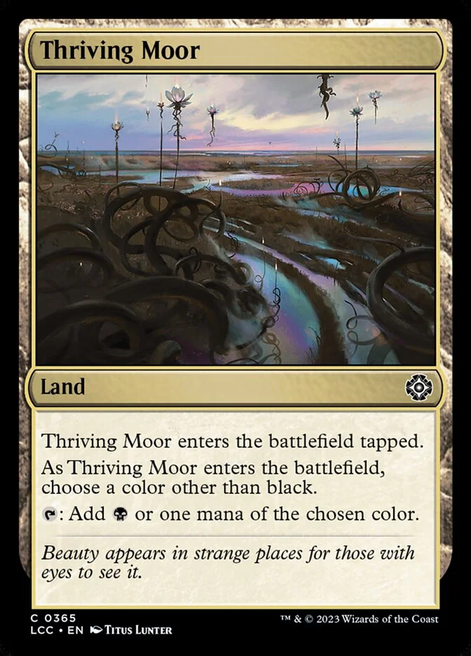 Thriving Moor 「LCC/365」「EN」