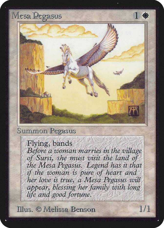 Mesa Pegasus 「LEA/28」「EN」