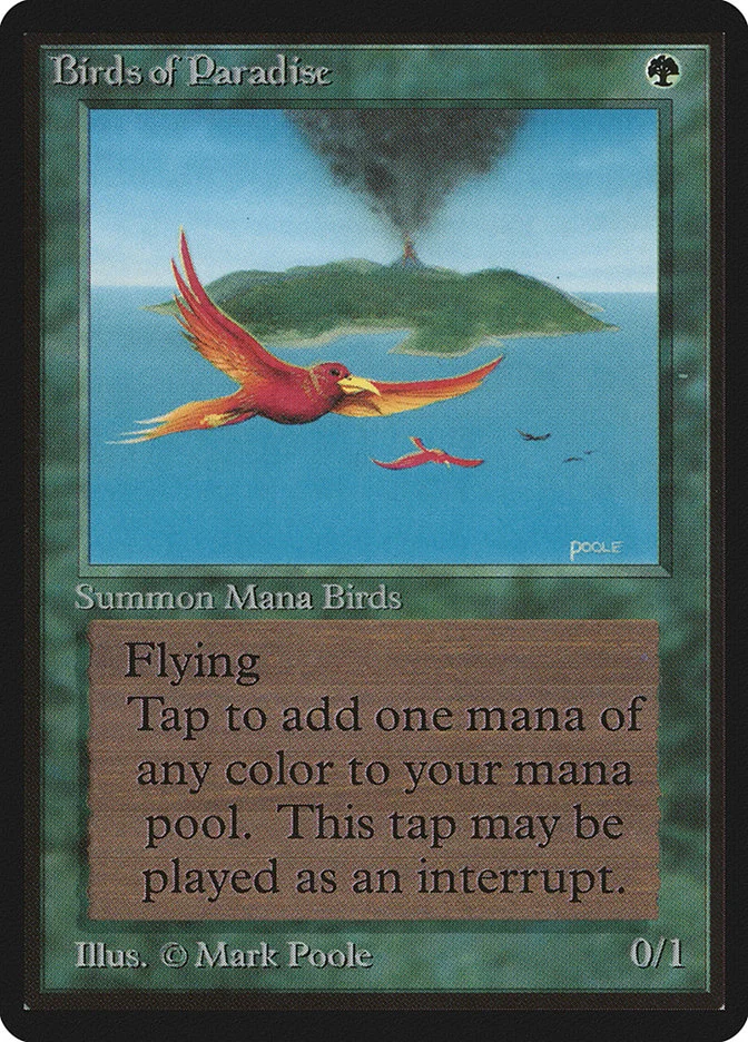 Birds of Paradise 「LEB/187」「EN」
