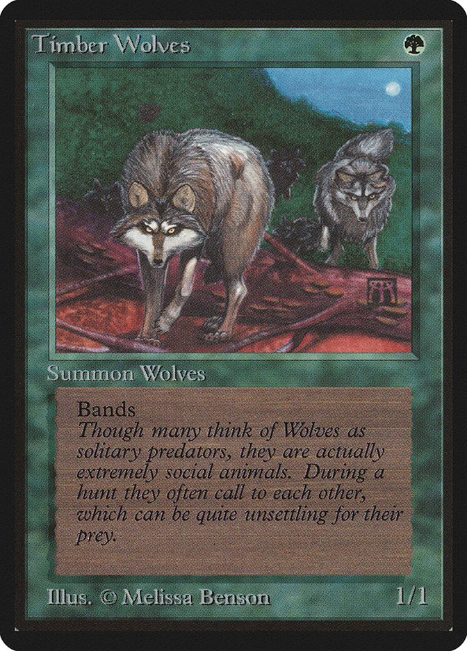 Timber Wolves 「LEB/220」「EN」