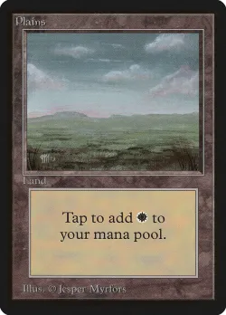 Plains 「LEB/290」「EN」