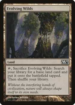 Evolving Wilds 「M13/224」「EN」