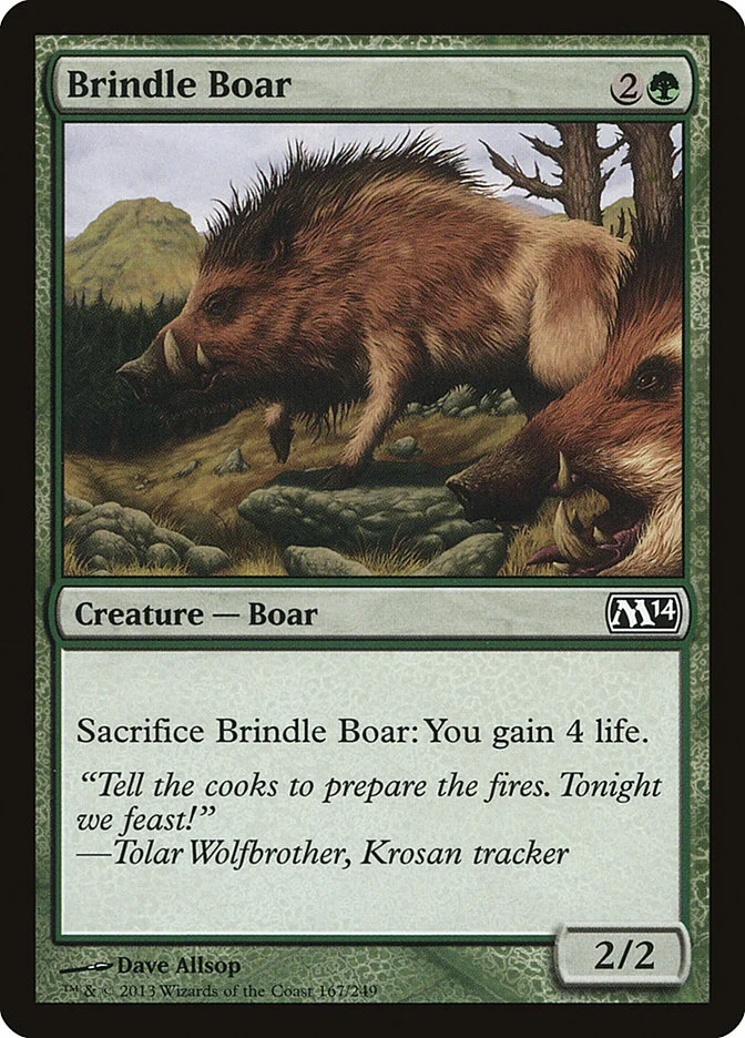 Brindle Boar 「M14/167」「EN」