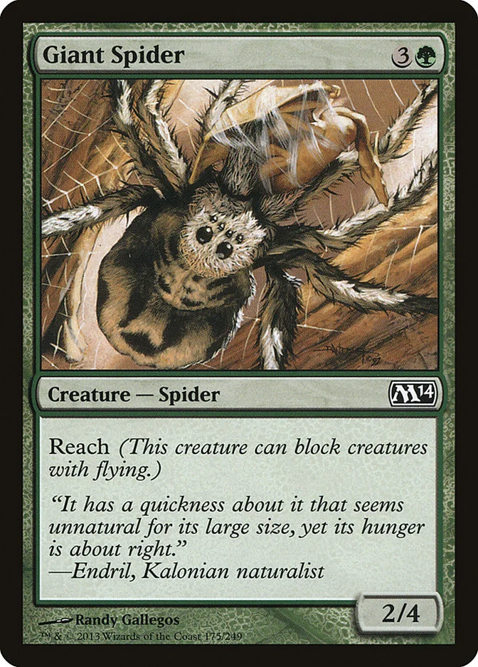 Giant Spider 「M14/175」「EN」