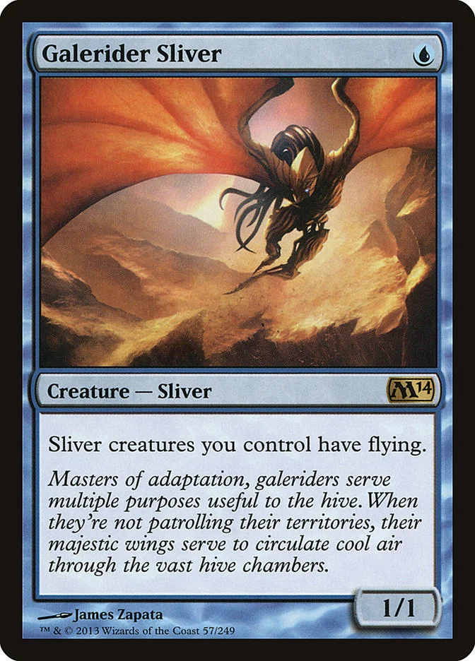 Galerider Sliver 「M14/57」「EN」