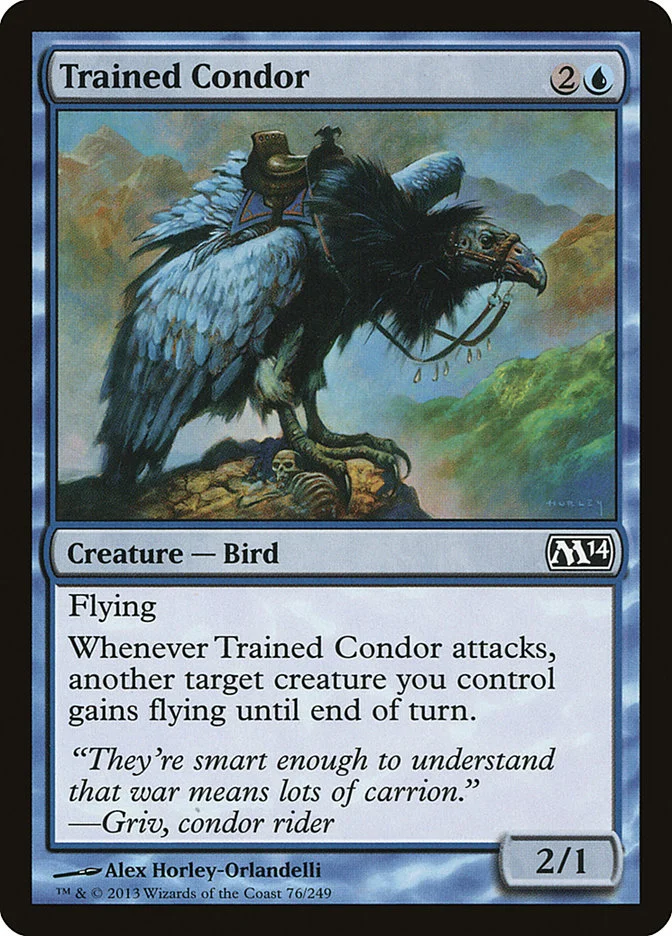Trained Condor 「M14/76」「EN」