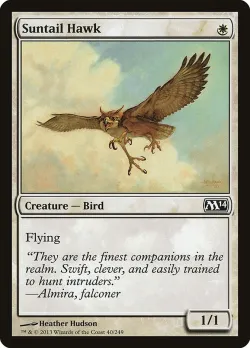Suntail Hawk #40 · Magic: The Gathering