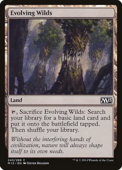 Evolving Wilds 「M15/243」「EN」