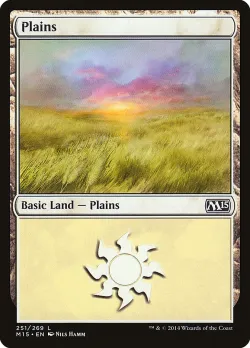 Plains 「M15/251」「EN」