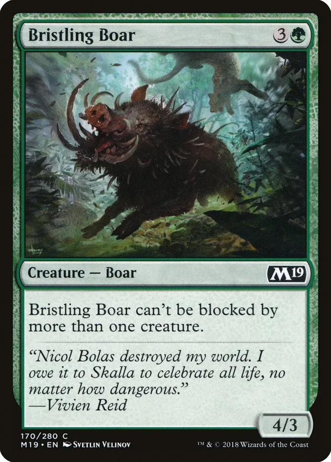 Bristling Boar 「M19/170」「EN」