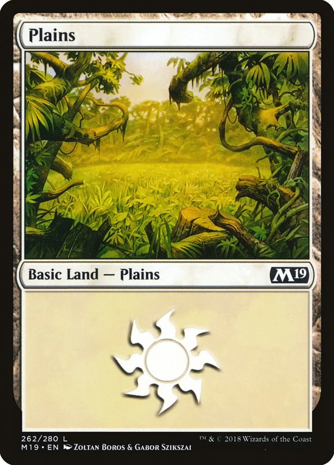 Plains 「M19/262」「EN」