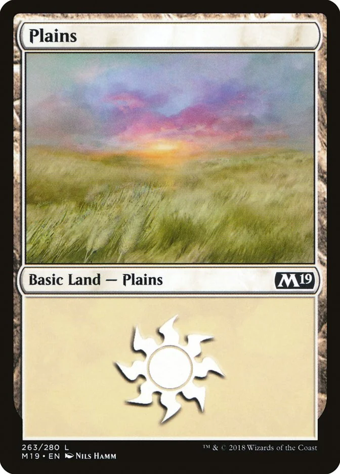 Plains 「M19/263」「EN」