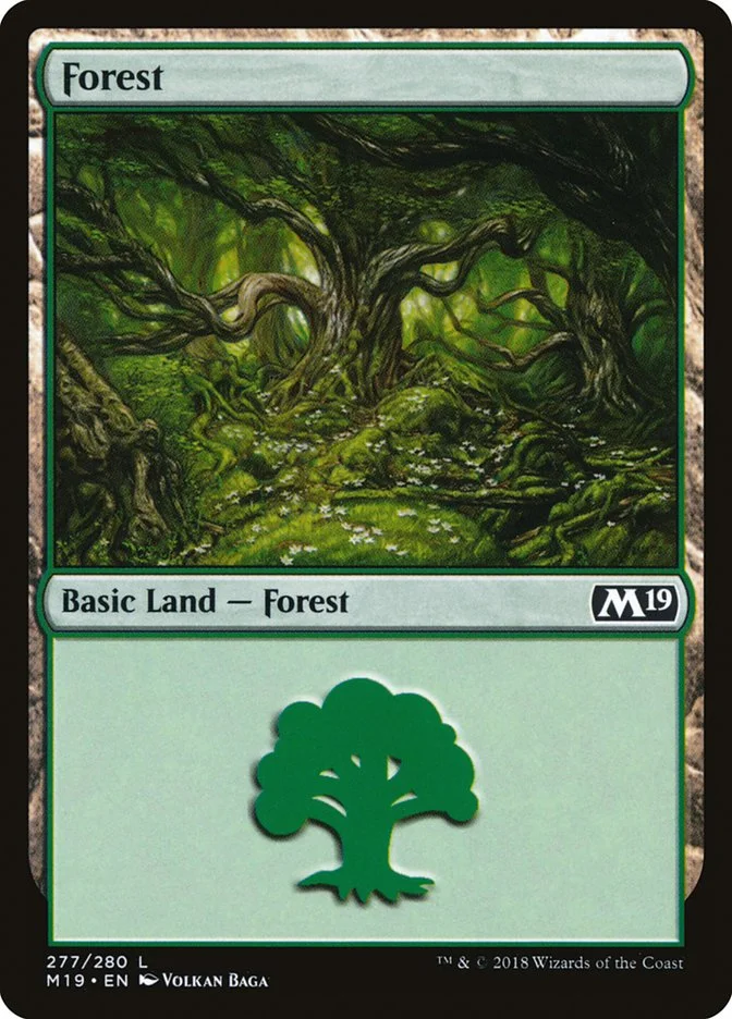 Forest 「M19/277」「EN」