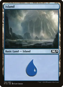 Island #265 · Magic: The Gathering
