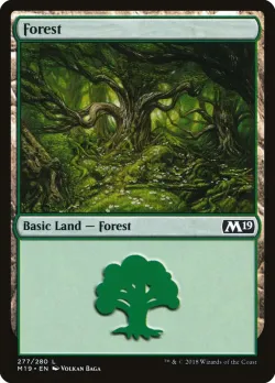 Forest 「M19/277」「EN」