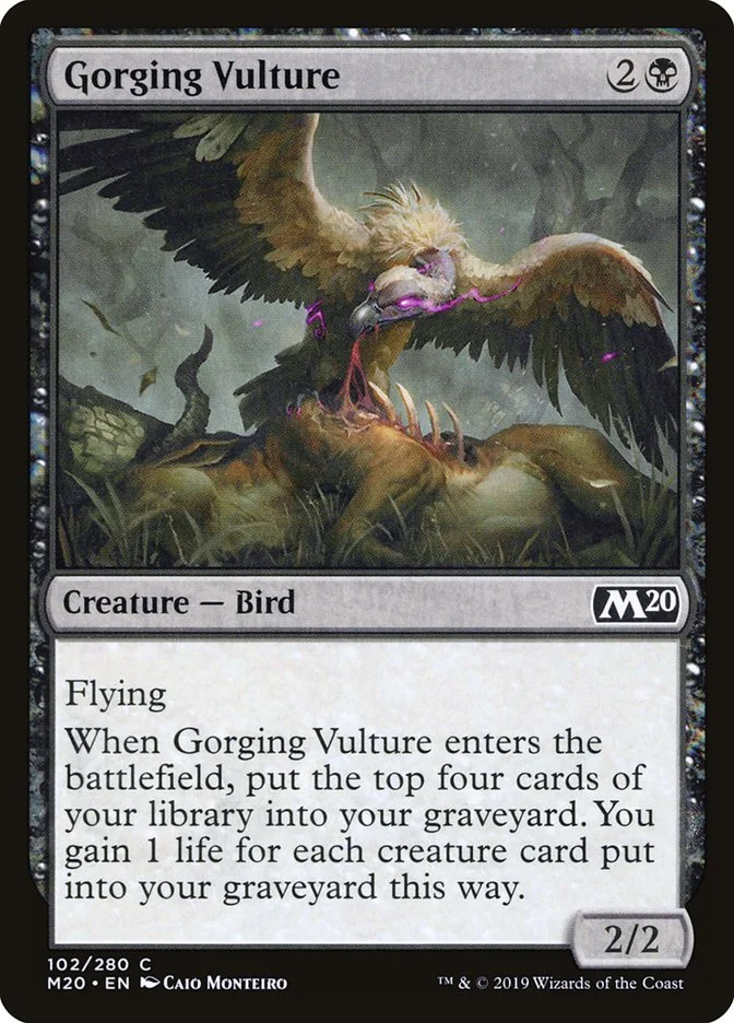 Gorging Vulture 「M20/102」「EN」