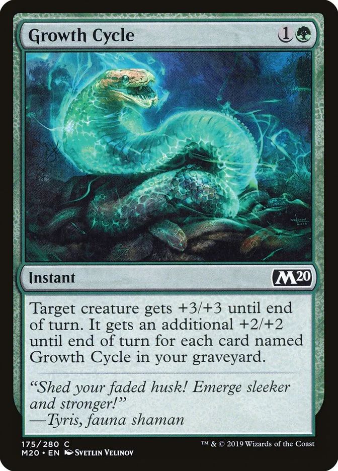 Growth Cycle 「M20/175」「EN」