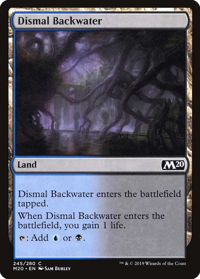 Dismal Backwater 「M20/245」「EN」