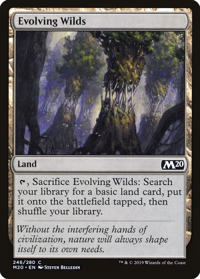Evolving Wilds 「M20/246」「EN」